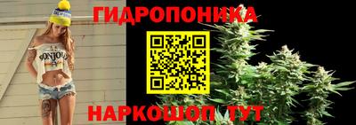 дурь Брянск