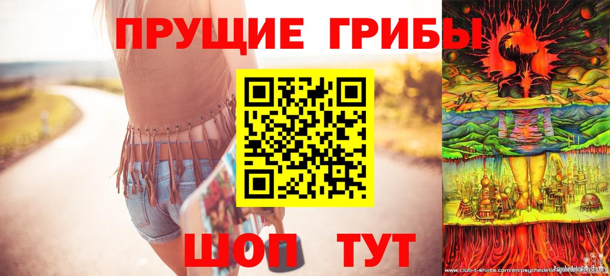 Галлюциногенные грибы мицелий Всеволожск