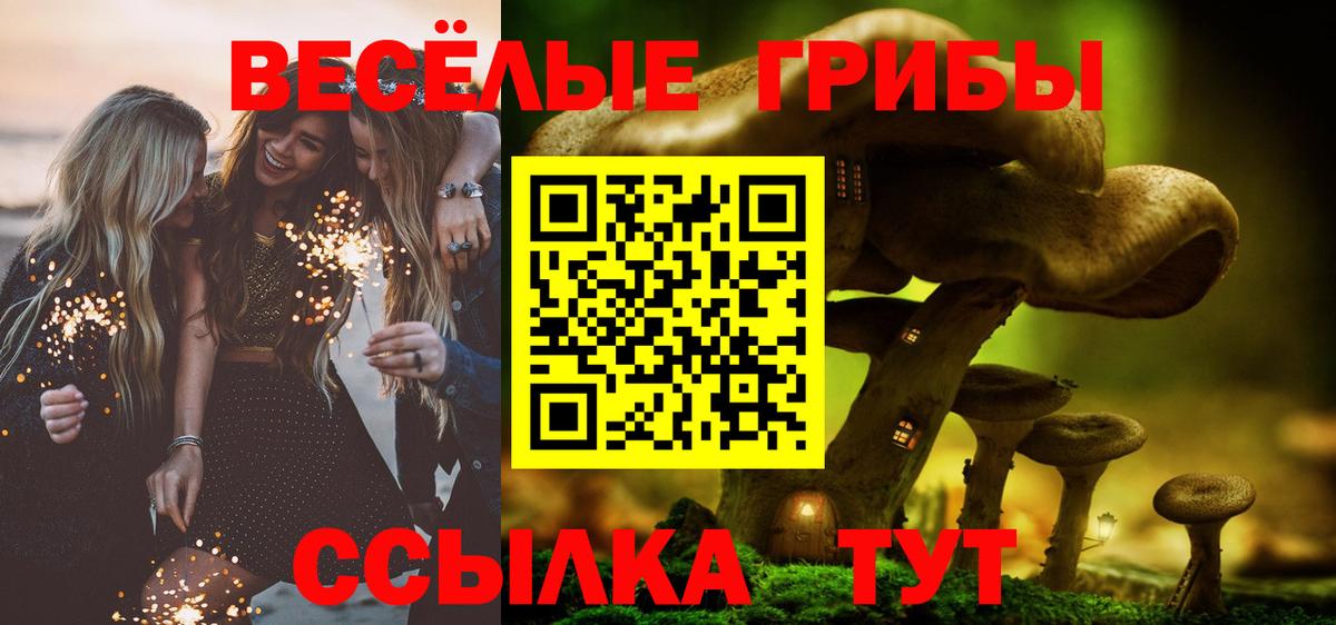 цены наркотик  Вход с VPN  Псилоцибиновые грибы MAGIC MUSHROOMS  Всеволожск  Галлюциногенные грибы ЛСД 